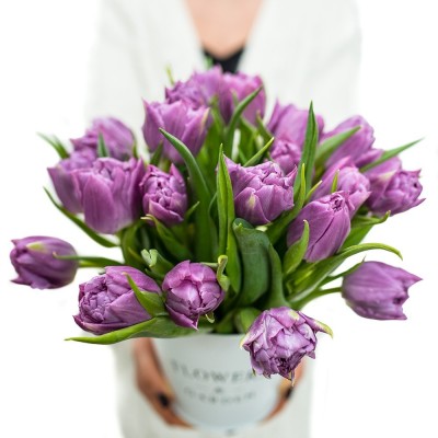 "Wiaderko fioletowych tulipanów"