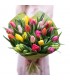 Bukiet Kolorowe tulipany